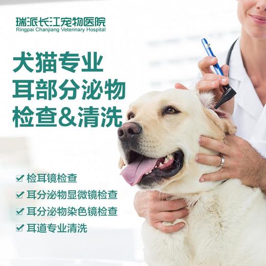 【贴心服务】到店服务 专业耳道分泌物检查&耳道清洗服务 犬猫通用 商品图1
