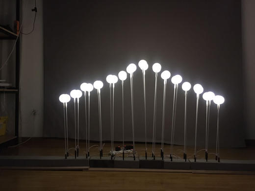 10头奶白球地插【运费自理】 商品图1