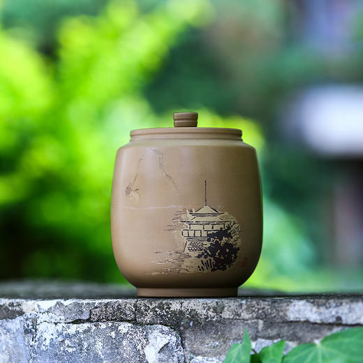 金鹏（守中）茶罐 商品图0