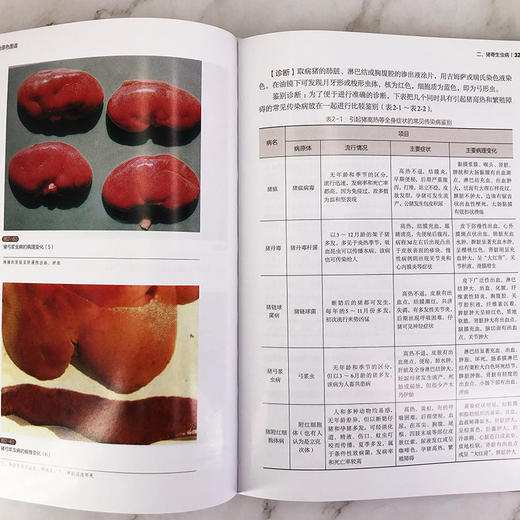 猪病诊治原色图谱  病原体流行病学临床症状病理变化诊断防i治措施方剂等猪病简易鉴别方法猪病鉴别 养殖场兽医畜牧兽医书籍 商品图4