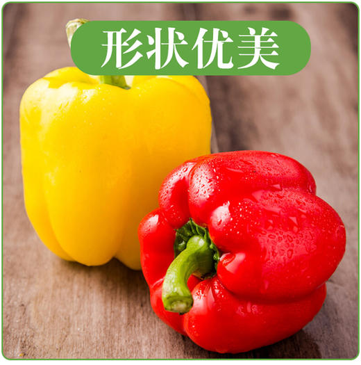 彩椒1份2个
