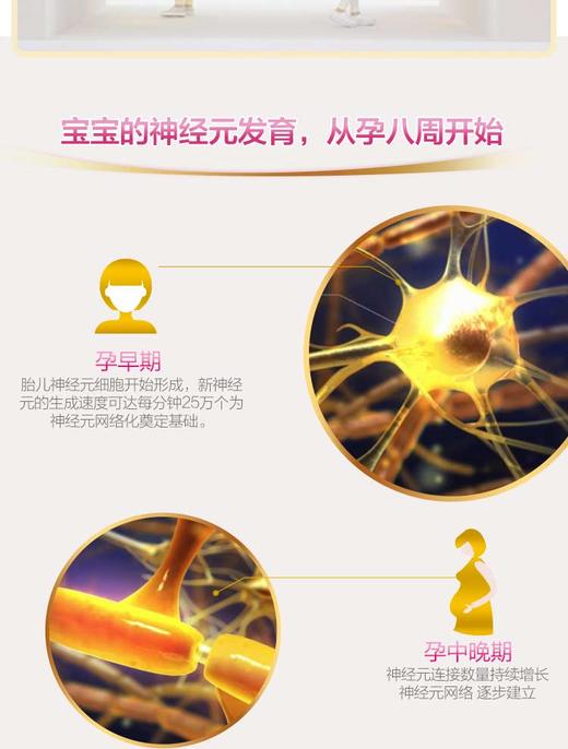 惠氏妈妈PROMAMA孕产妇配方调制乳粉 900gJPY带授权招加盟代理 商品图2