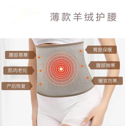 羊毛薄款护腰 商品图2