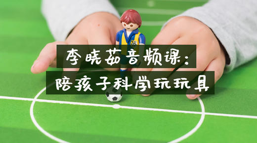 李晓茹：陪孩子科学玩玩具 商品图0