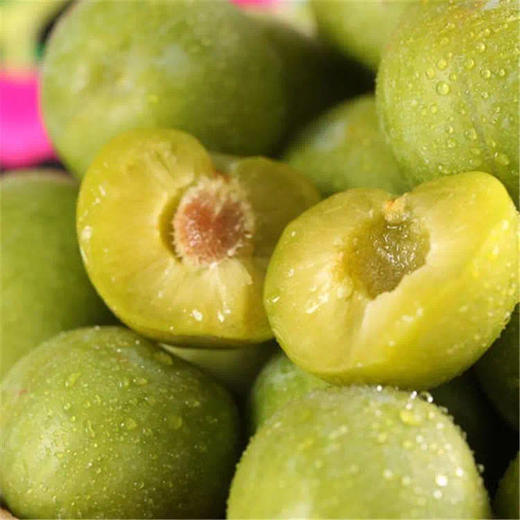 蜂糖李 500g/份 - 西比奇严选会员店