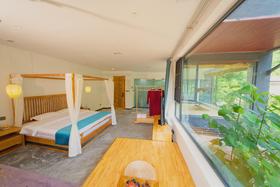 依田桃源青阙双早优惠价