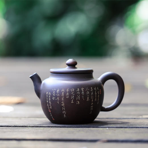 孔凡庚  徐长文合开窗壶 商品图1