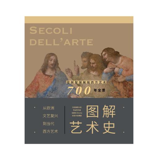 图解艺术史：从欧洲文艺复兴到当代西方艺术（14-20世纪） 商品图1