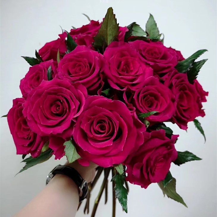 【逸禾】昆明优质新品玫瑰-高胜,打包会裁剪一定长度,全国京东/顺丰