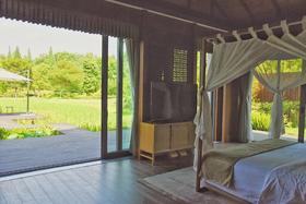 依田桃源闲野双早优惠价