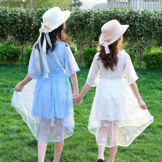 YN-8827（有亲子码）夏季2020新款童装淑女中大童绣花公主裙 商品图2
