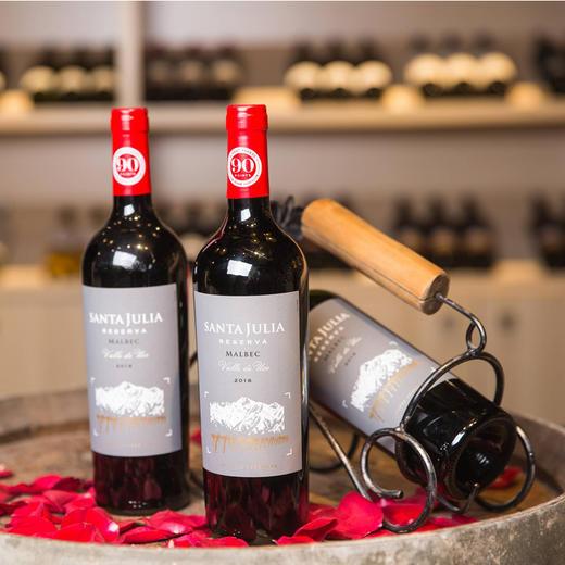 圣茱莉亚珍藏马尔贝克红葡萄酒 2017x750ml  阿根廷 商品图3