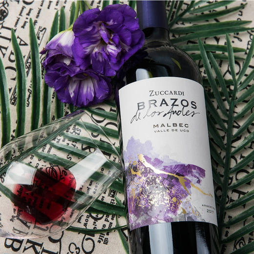 安第斯之臂马尔贝克13.5度红葡萄酒2017x750ml 阿根廷 商品图1