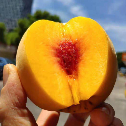 爆甜多汁黄金蜜桃新鲜水果原生态零污染现摘现发