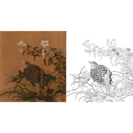 工筆畫白描底稿明清花鳥鵪鶉百花圖斗方小品冊頁多種白描尺寸可選mq02