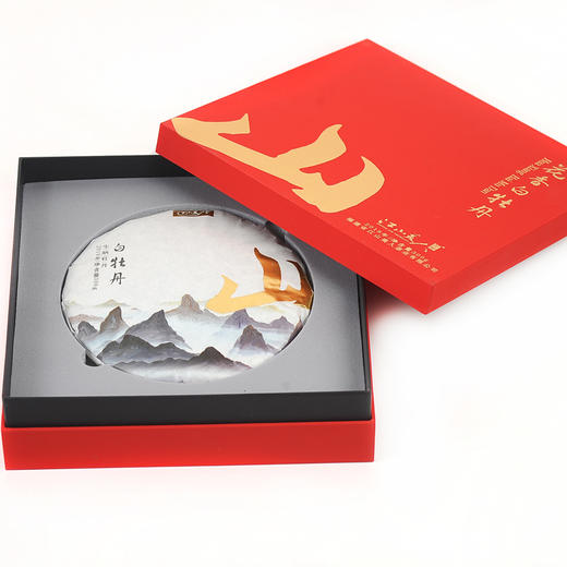 江山美人白茶花香白牡丹 商品图3