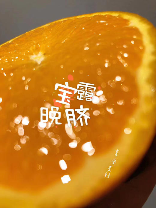 西班牙🇪🇸BOLLO宝露橙🍊，被誉为水果中的艺术品，超水嫩、完美化渣，甜度高，橙味浓 商品图5