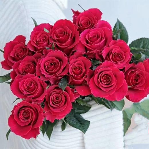 【逸禾】昆明优质新品玫瑰-高胜,打包会裁剪一定长度,全国京东/顺丰