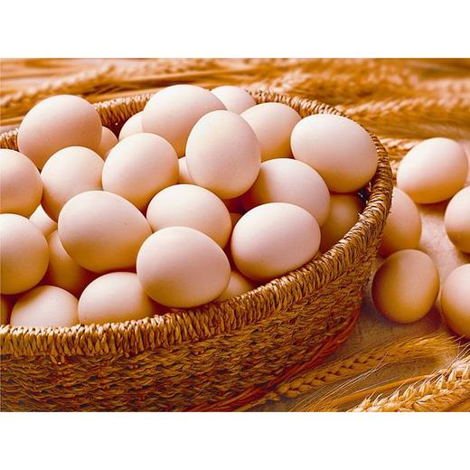【GY】鲜鸡蛋 10个/盒 商品图0