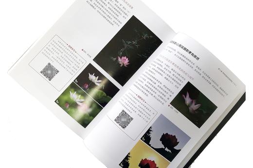 手机摄影与视频拍摄从入门到高手 商品图1