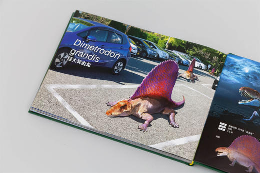 真实大小的古生物图鉴 | 惊呆了！原来古生物这么大 商品图3