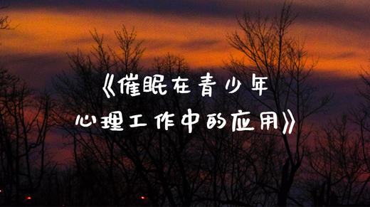 《催眠，在青少年心理工作中的应用》 商品图0