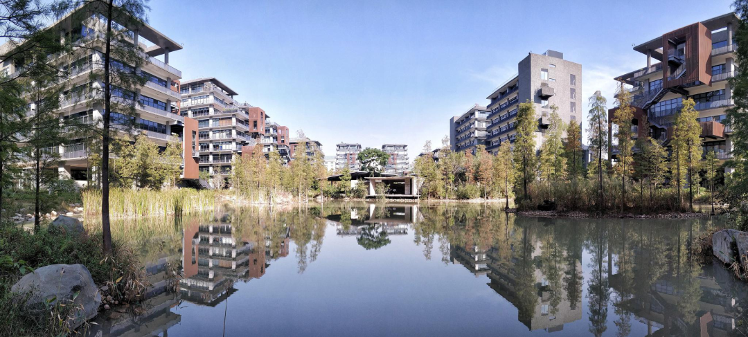 五一梧桐岛亲子营 | 寻美深圳