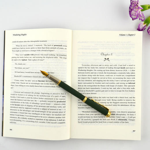 呼啸山庄 英文版 Wuthering Heights 世界经典文学名著系列 商品图3