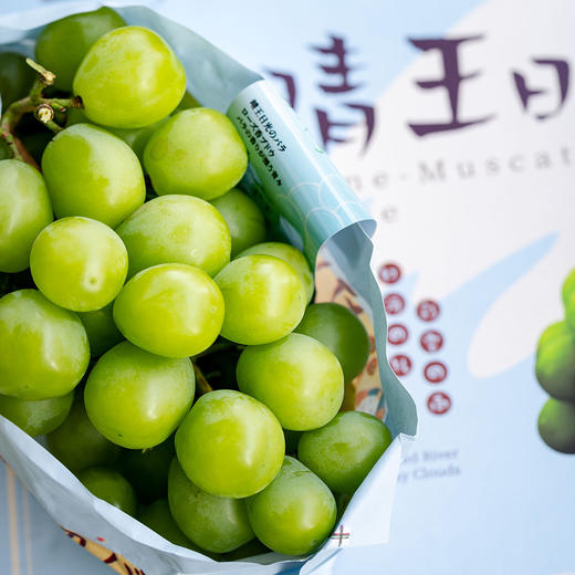 云南香印青提阳光玫瑰晴王3斤