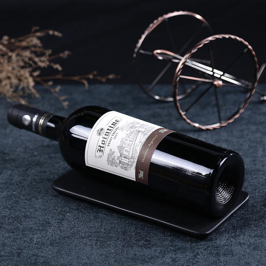 （横版）红盈廷西拉马尔贝克13度红葡萄酒2017x750ml 阿根廷 商品图1