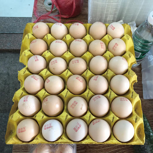 菜篮子绿能康五谷散养蛋30只