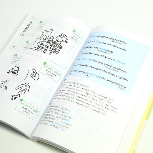 实用英语单词漫画图解一看就会：日常必备 商品图3