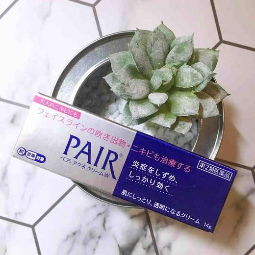 日本狮王祛痘膏（14g/24g） 商品图1