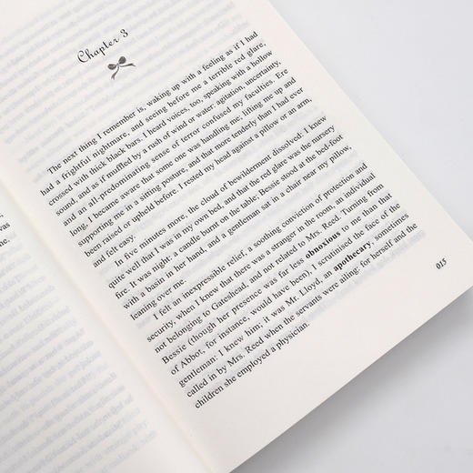 简爱 英文版 Jane Eyre 世界经典文学名著系列 商品图3