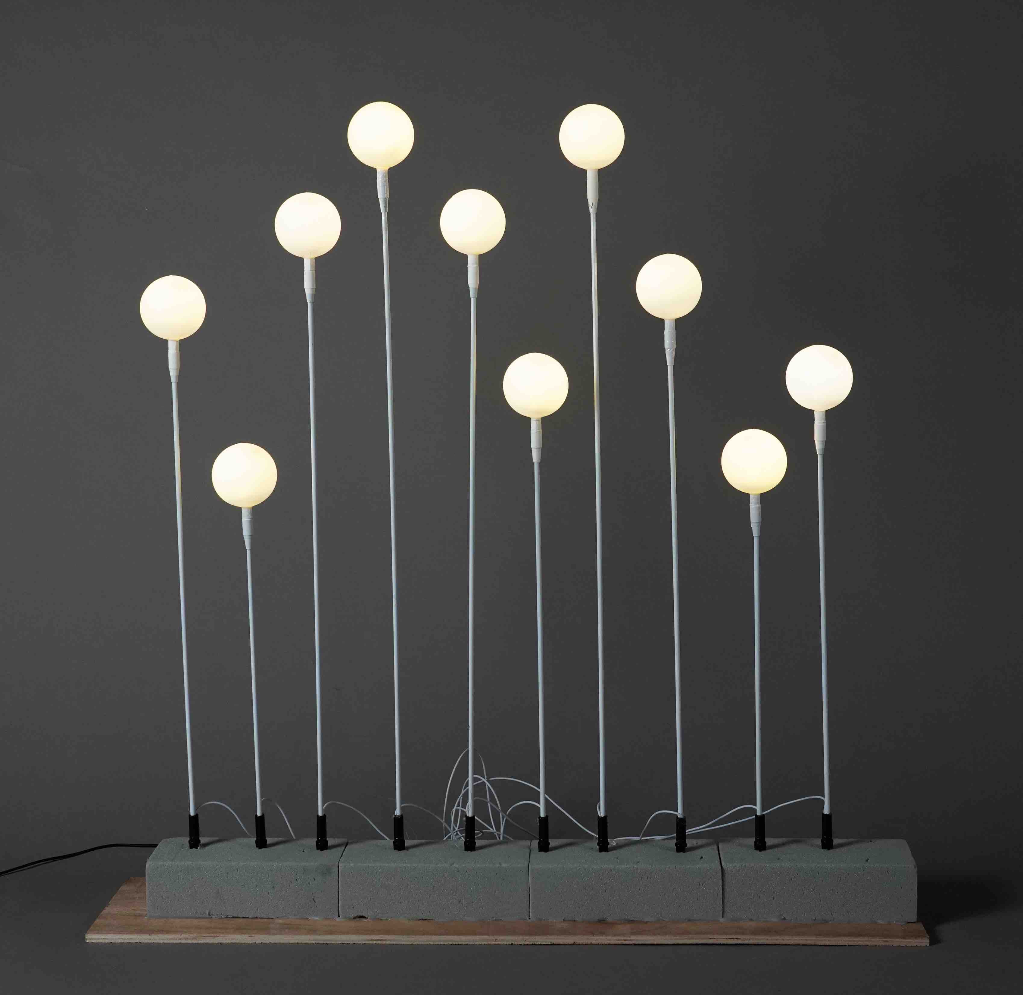 10头奶白球地插【运费自理】