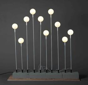 10头奶白球地插【运费自理】