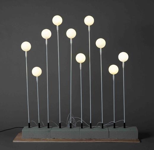 10头奶白球地插【运费自理】 商品图0