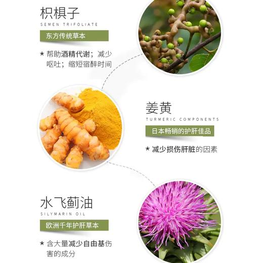 【清肝排毒】SWISSE朝鲜蓟清肝饮 商品图3