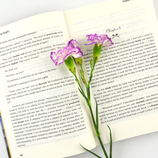 呼啸山庄 英文版 Wuthering Heights 世界经典文学名著系列 商品图2