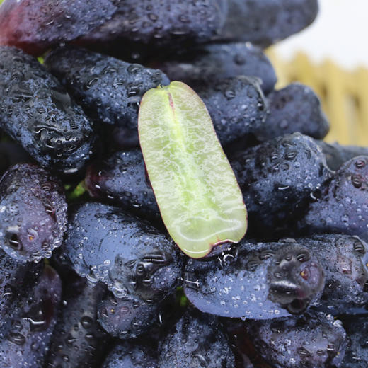 金手指黑提3斤 新鲜提子黑加仑葡萄水果无籽美人指提子