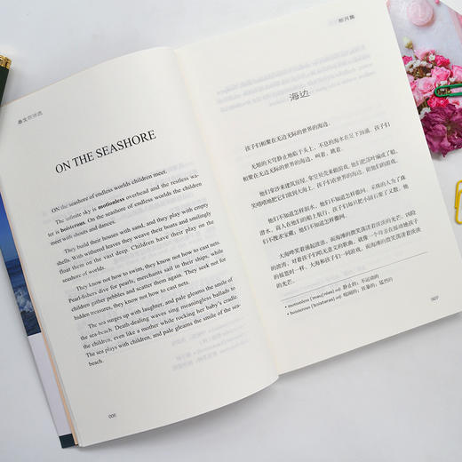 泰戈尔诗选（英汉对照注释版）/世界经典文学名著双语系列 [Selected Poems of Tagore] 商品图4