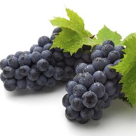 巨峰葡萄新鲜水果