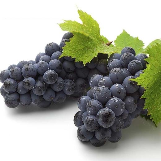 巨峰葡萄新鲜水果 商品图0