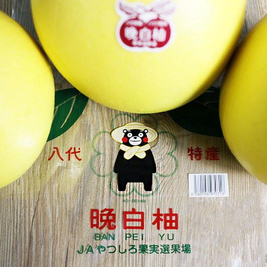 甜酒铺 堤酒造熊本晚白柚酒 720ml 果肉柚子酒浊酒 进口日本梅酒  RDCT 商品图4