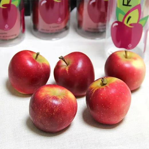 新西兰火箭苹果