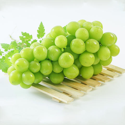 空运云南阳光玫瑰青提35斤鲜嫩多汁果肉细腻颗粒均匀应季蔬果