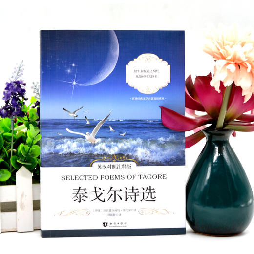 泰戈尔诗选（英汉对照注释版）/世界经典文学名著双语系列 [Selected Poems of Tagore] 商品图1