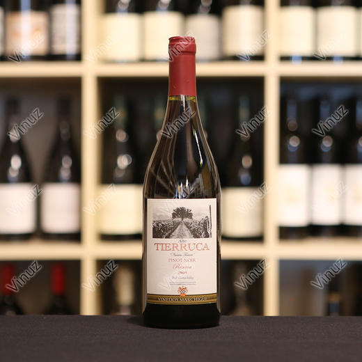 errazuriz pinot noir alto tierruca nuestro 2009