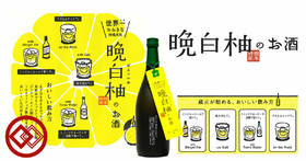 甜酒铺 堤酒造熊本晚白柚酒 720ml 果肉柚子酒浊酒 进口日本梅酒  RDCT