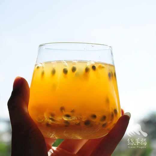佛系百香果（预售） | 合作生产*Let it be Passion fruit | Coprodution 商品图2